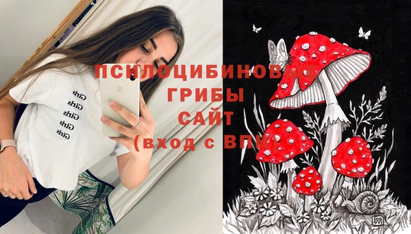 СК Иннополис