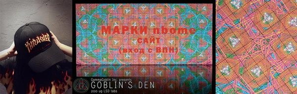 2c-b Инта