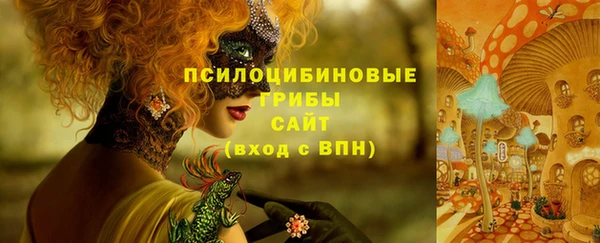 СК Иннополис