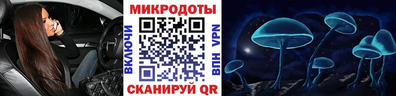 Галлюциногенные грибы Psilocybe  Купить где  Краснокаменск 