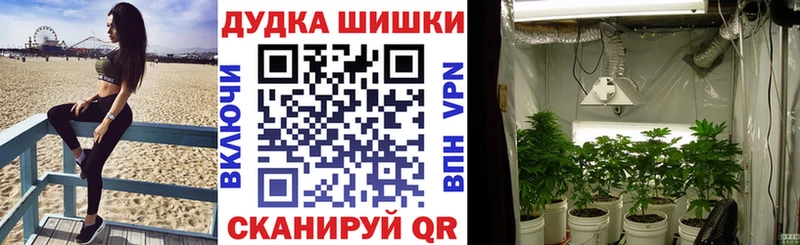 Купить закладки  Краснокаменск  Канабис VHQ 